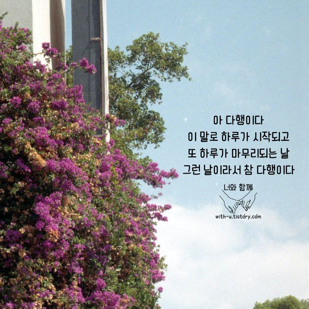  오늘 명언 : 짧고 좋은 글귀 : 짧은 명언