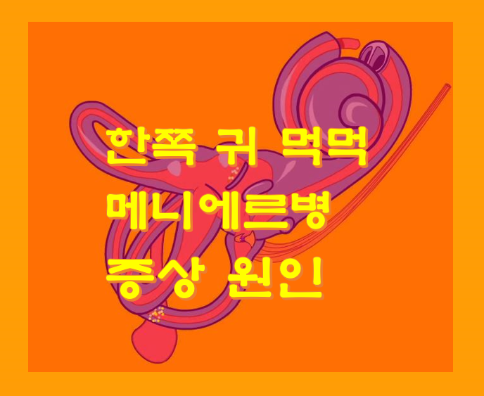 한쪽 귀 먹먹 메니에르병 증상 원인