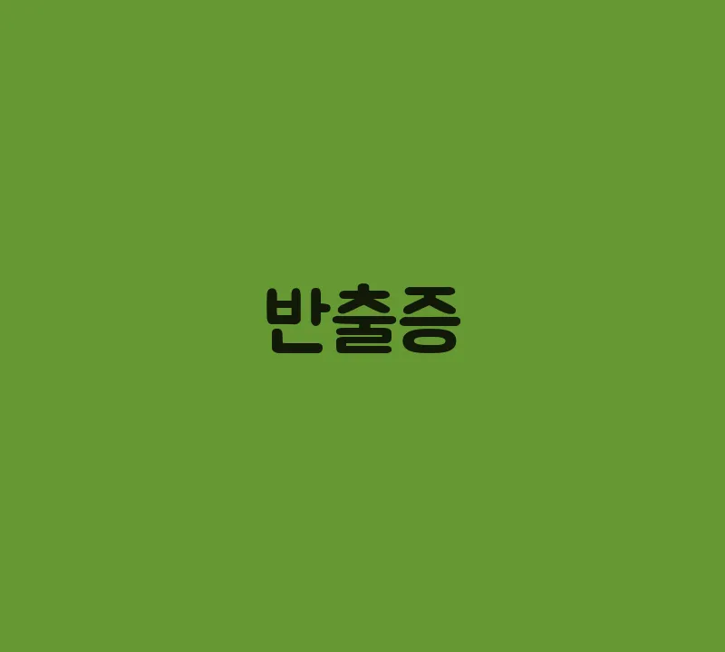 반출증(2)
