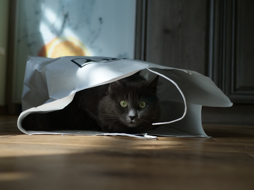 Pet supplies