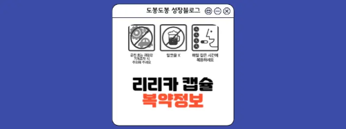 리리카캡슐 복약정보 이미지