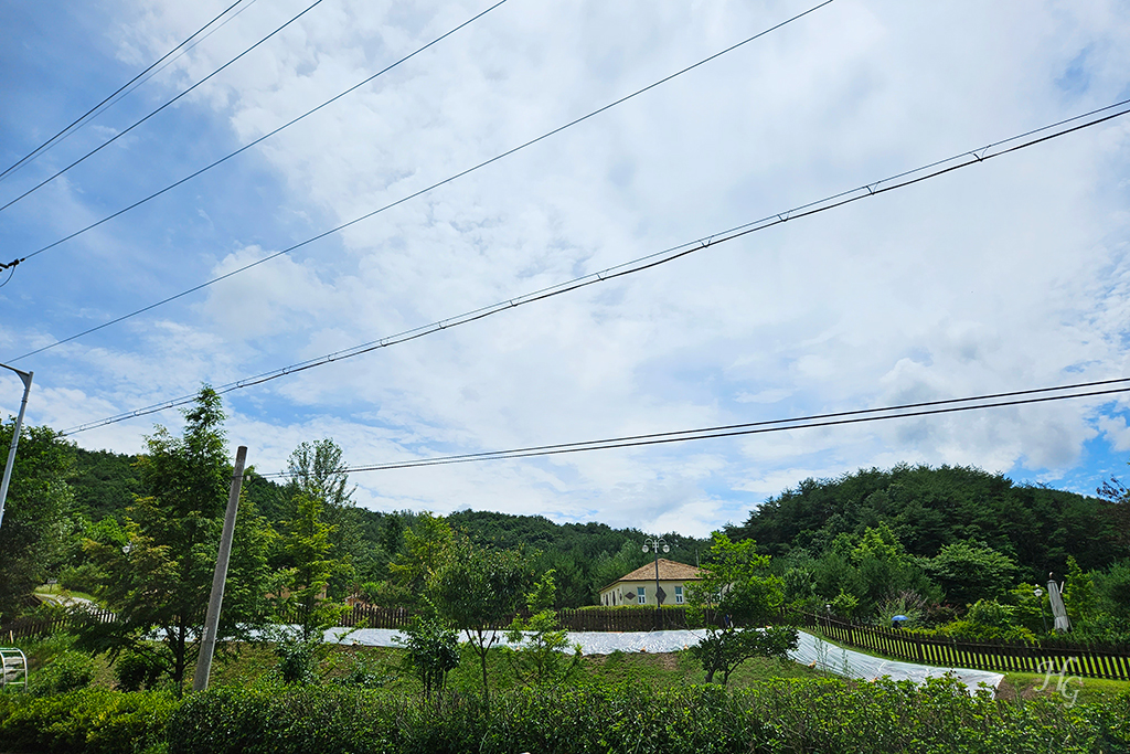 맑은 날씨 산책