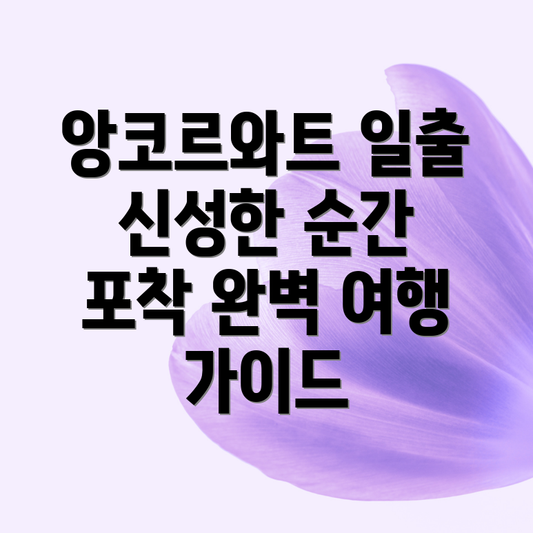 앙코르와트 일출