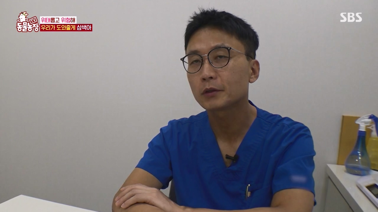 TV 동물농장.E1143.231030p-NEXT.mp4_20231029_164145.140.jpg