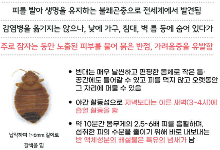 빈대 예방 및 신고센터 빈대 제로도시 프로젝트 정리 추천