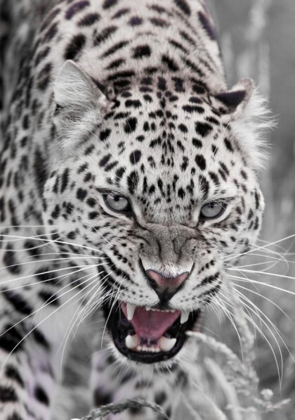  꾸준히 하는 사람이 가장 대단한 사람이다