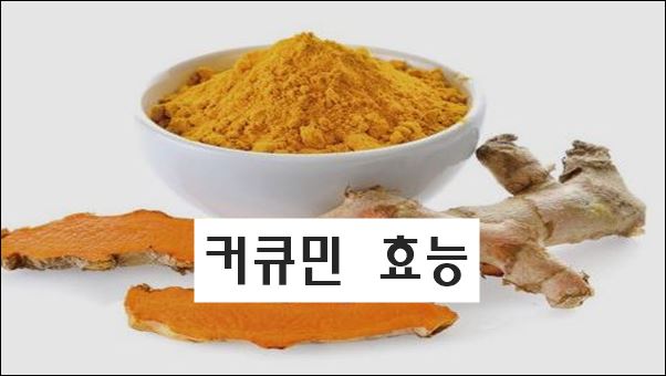 강황 커큐민 효능