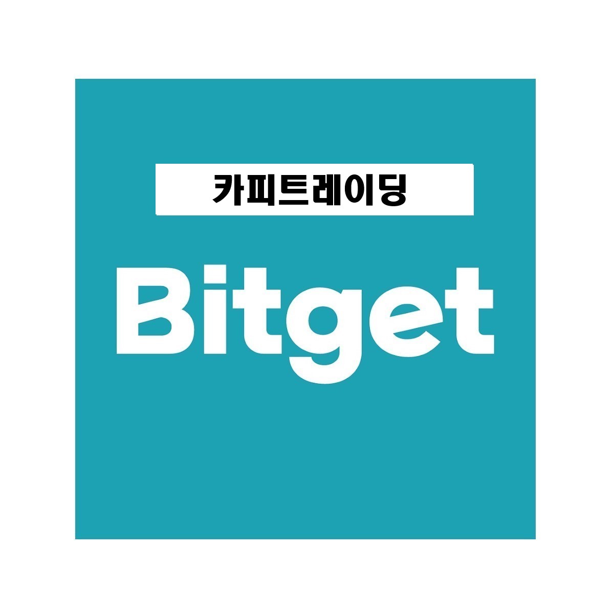  비트겟(bitget) 카피트레이딩 / 청산만 당하는 당신에게 / 하는방법 (카피트레이딩/청산/이용방법/22년 10월 최신)