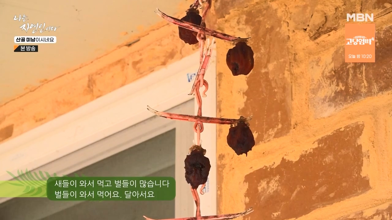 나는 자연인이다.E592.240208p-NEXT.mp4_20240208_193231.673.jpg