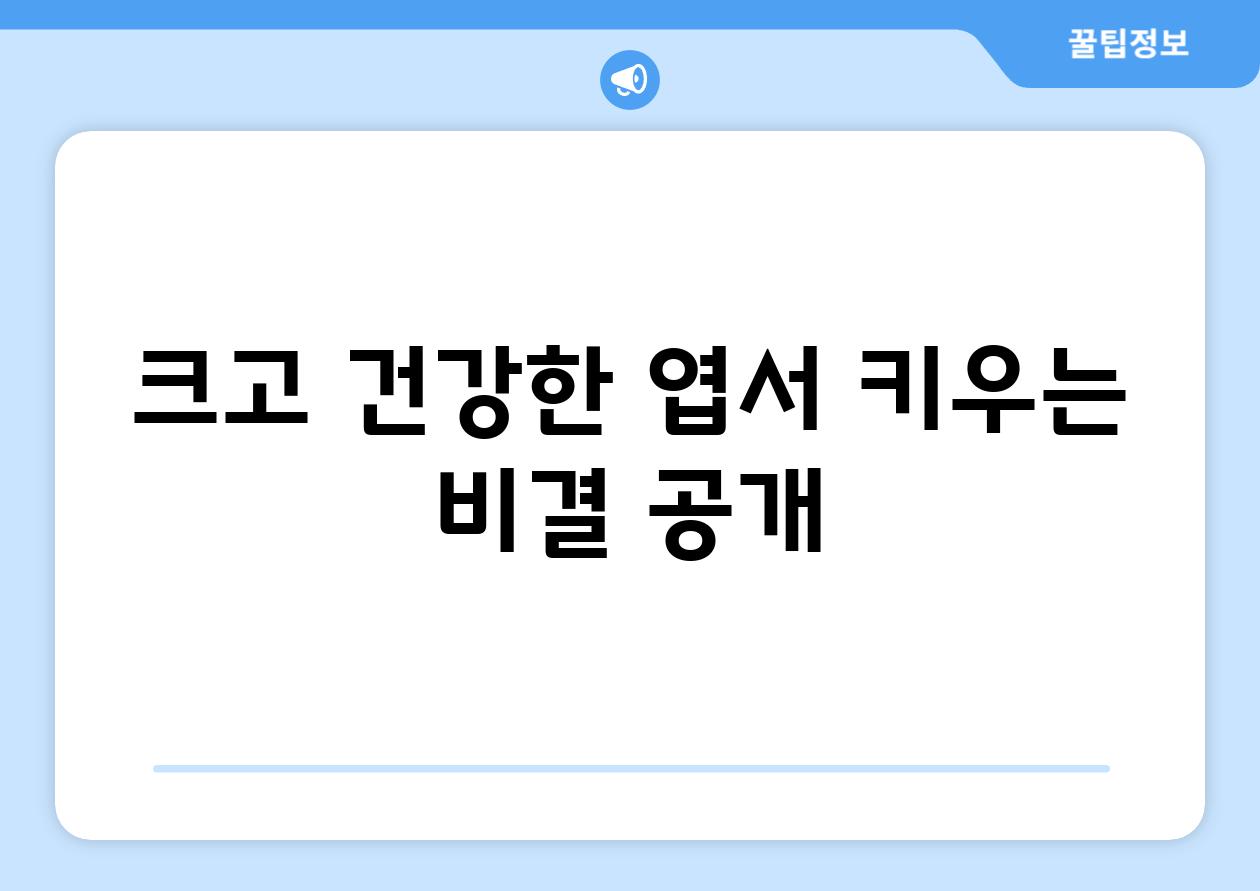 크고 건강한 엽서 키우는 비결 공개