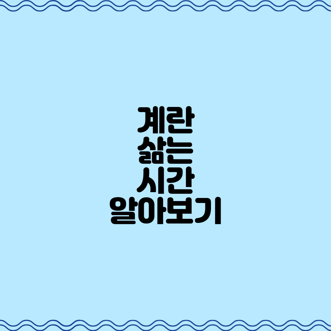  계란 삶는 시간 알아보기