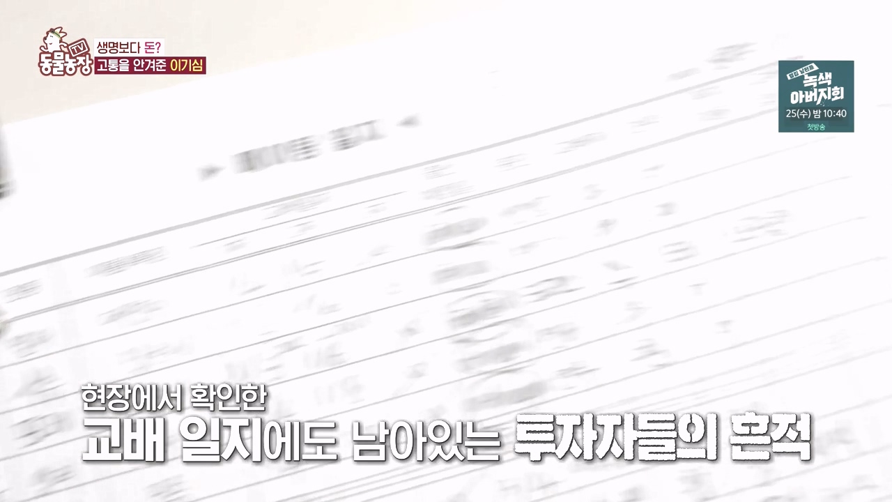 TV 동물농장.E1142.231023p-NEXT.mp4_20231022_173458.316.jpg