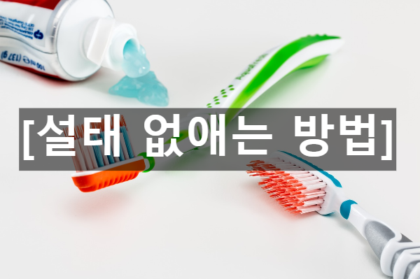  설태 없애는 방법