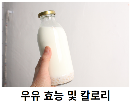 우유 효능 및 칼로리 우유 효능 및 칼로리