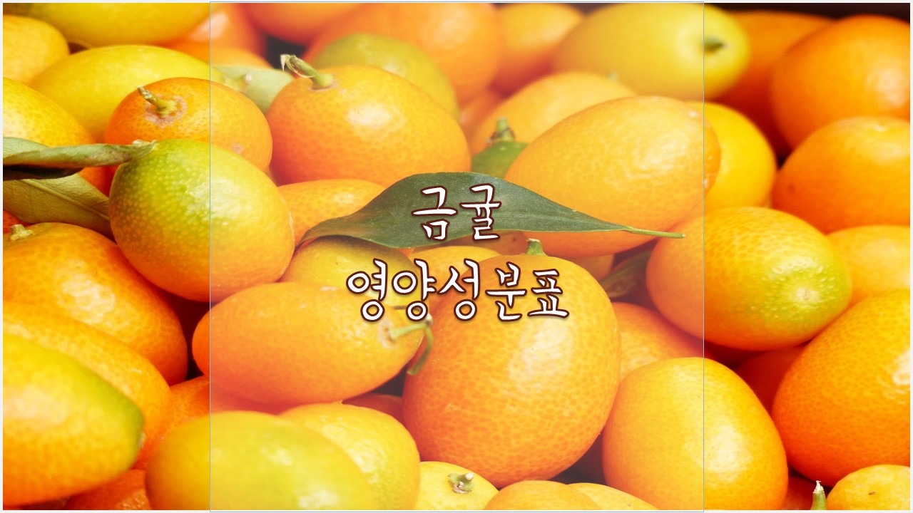 금귤 영양성분