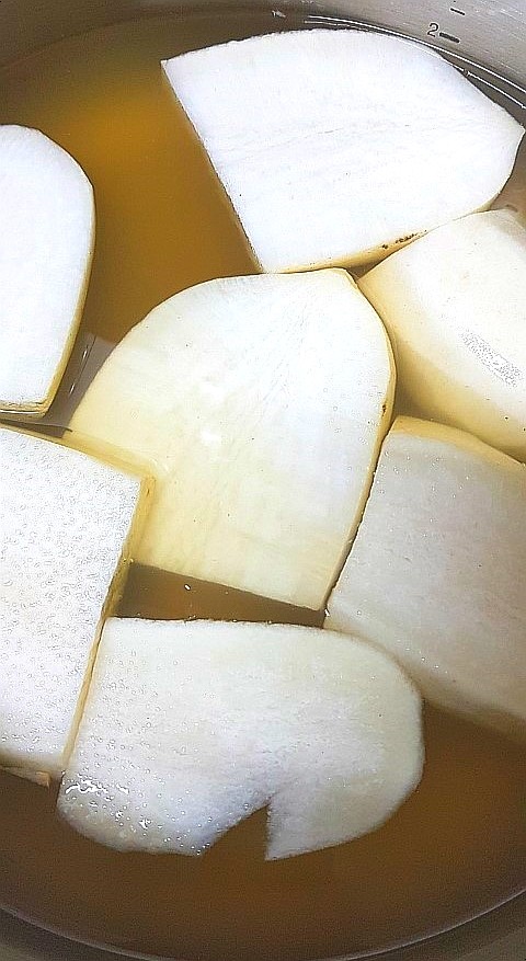 이것이코다리다 이미지