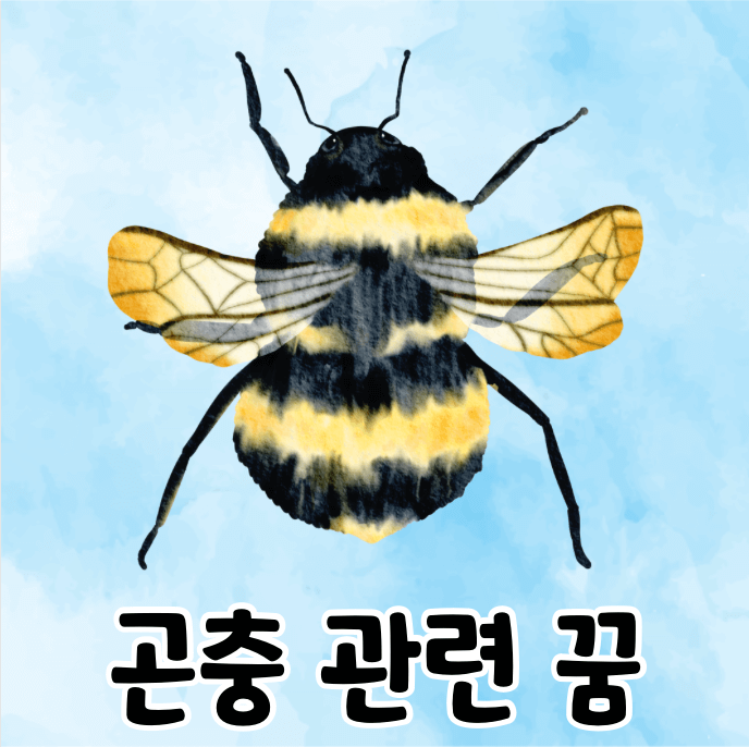 곤충