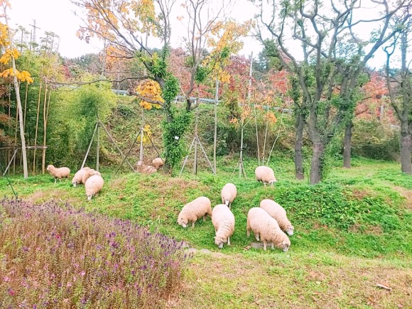 #부산 아이와가 볼만한 바다 운대수목원 17