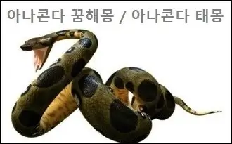 아나콘다 꿈해몽 아나콘다 태몽