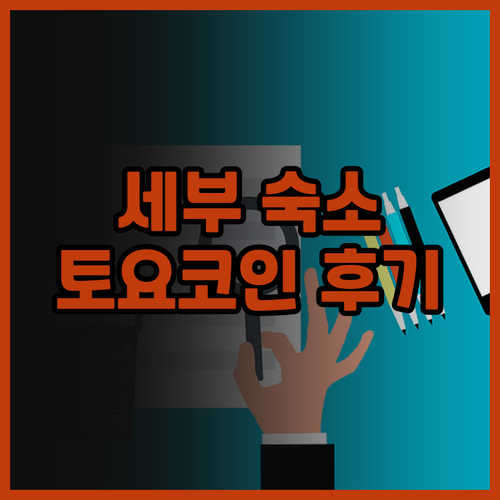 세부 숙소 고민 끝 토요코인 세부 후