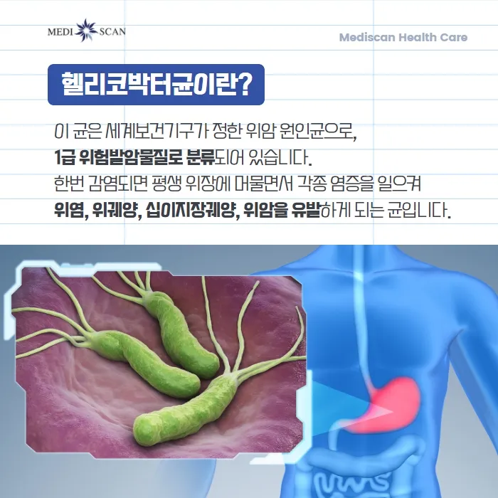 헬리코박터균 제균 치료 치료방법 성공률_6