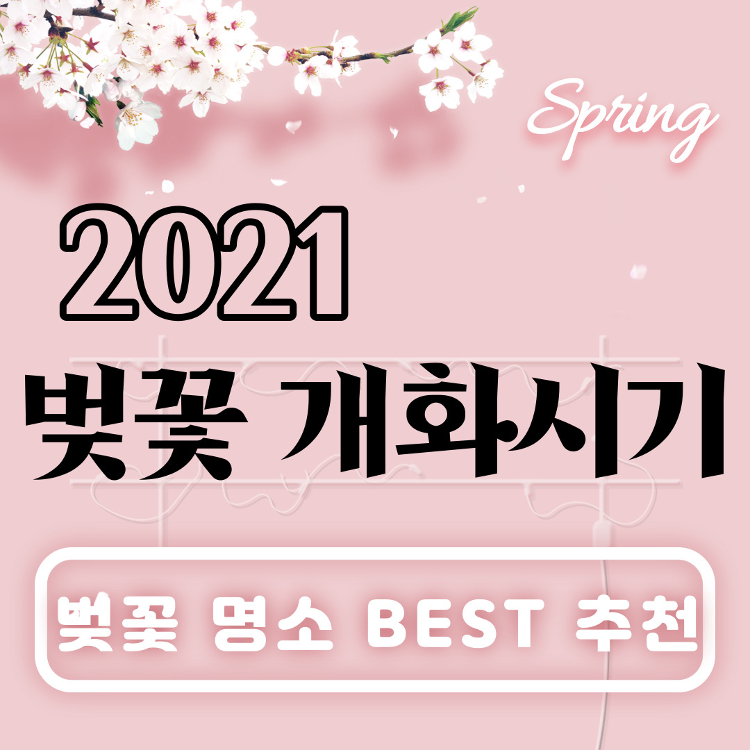  2021 벚꽃(개나리,진달래) 개화시기 / 벚꽃 명소 best 추천 / 윤중로 벚꽃축제, 서울근교 데이트