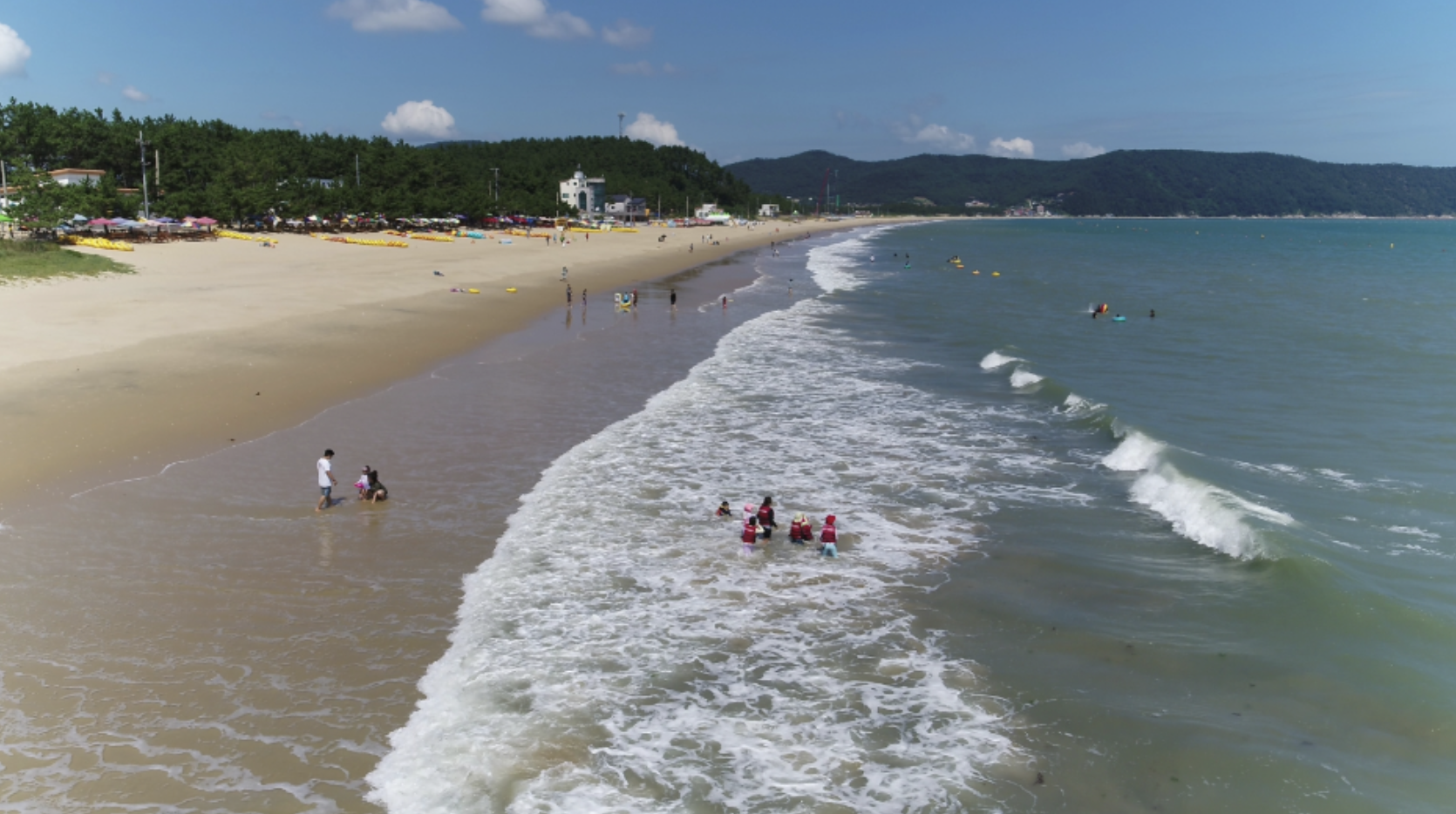 봄 꽃길김밥 이미지