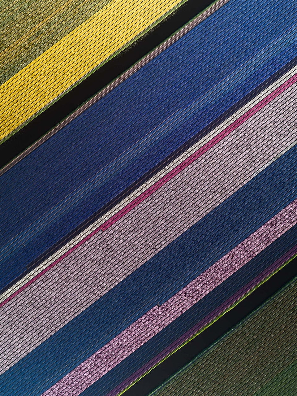 img.jpg