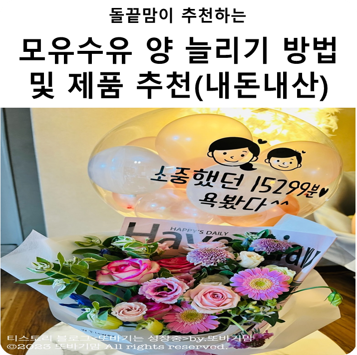  돌끝맘이 추천하는 모유 수유에 좋은 제품 및 모유 양 늘리기 방법 공유(내돈내산)