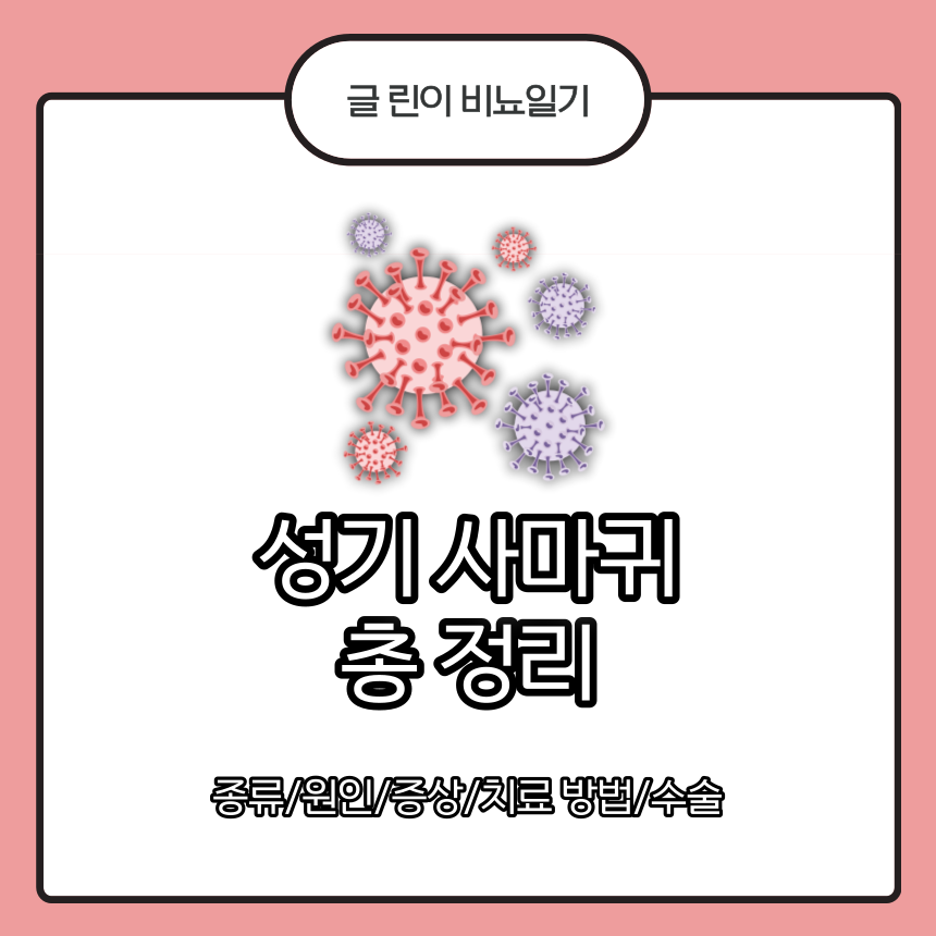 성기 사마귀 총 정리 : 종류/원인/증상/치료 방법/수술