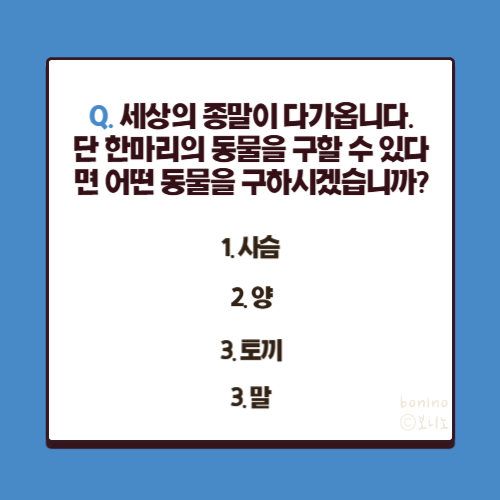 동물-심리테스트-사진
