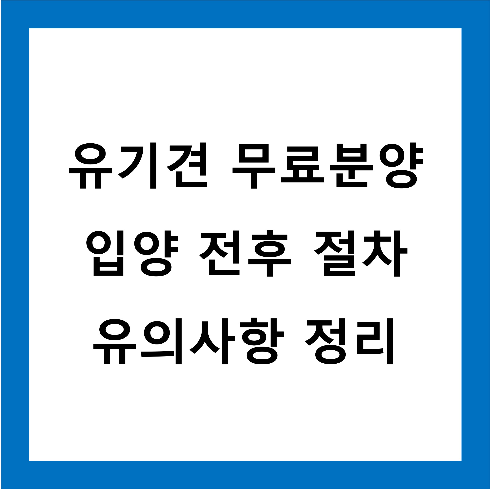 유기견무료분양