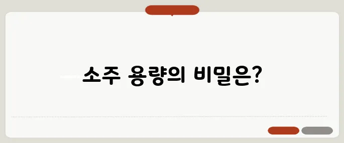 소주 한 병은 몇 ml? 정확한 용량은?