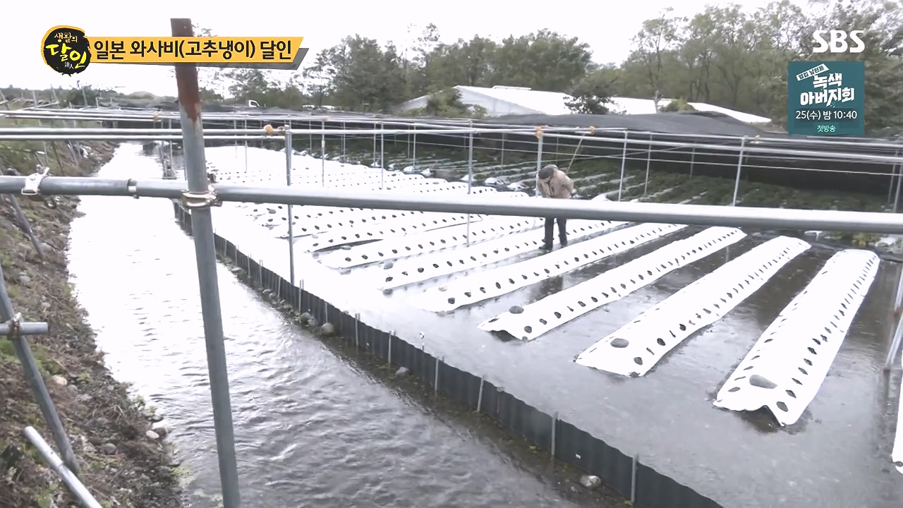 생활의 달인.E908.231017p-NEXT.mp4_20231017_200459.858.jpg