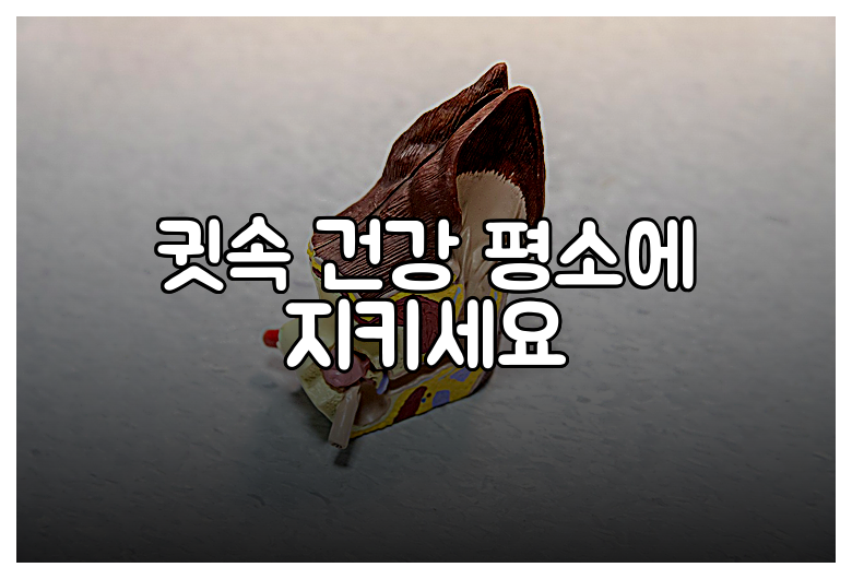 귓속 건강 평소에 지키세요