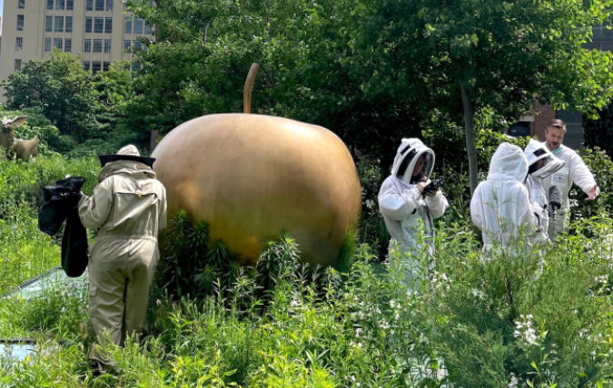 Sustainable Art Kasmin Gallery&#39;s Hidden Beekeeping Oasis