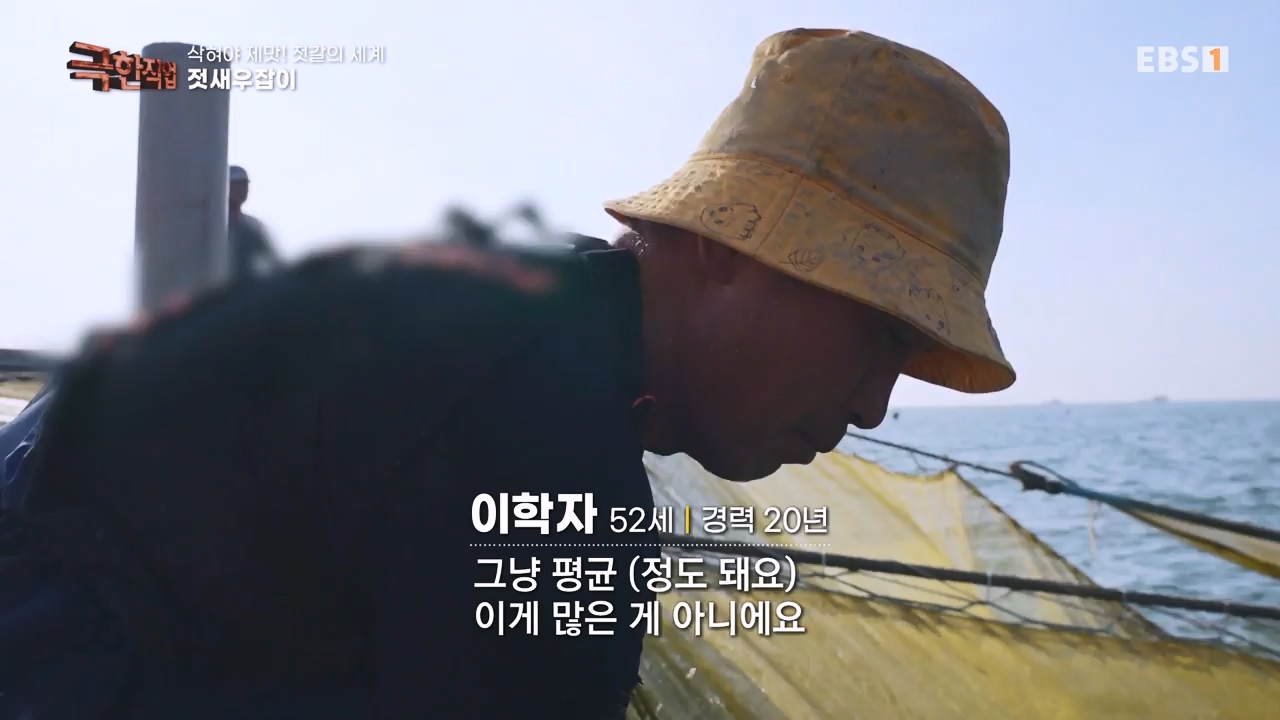 TV - 전 국민의 평생학교 EBS삭혀야 제맛! 젓갈의 세계.mp4_20231125_190842.785.jpg