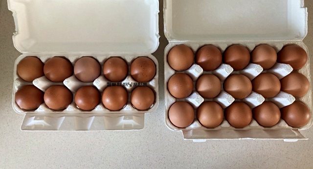 달걀-25알