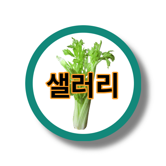  칼로리 낮은 음식 샐러리 효능 부작용 먹는법 보관법 총정리