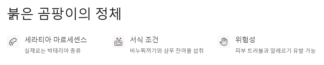 붉은 곰팡이의 정체
