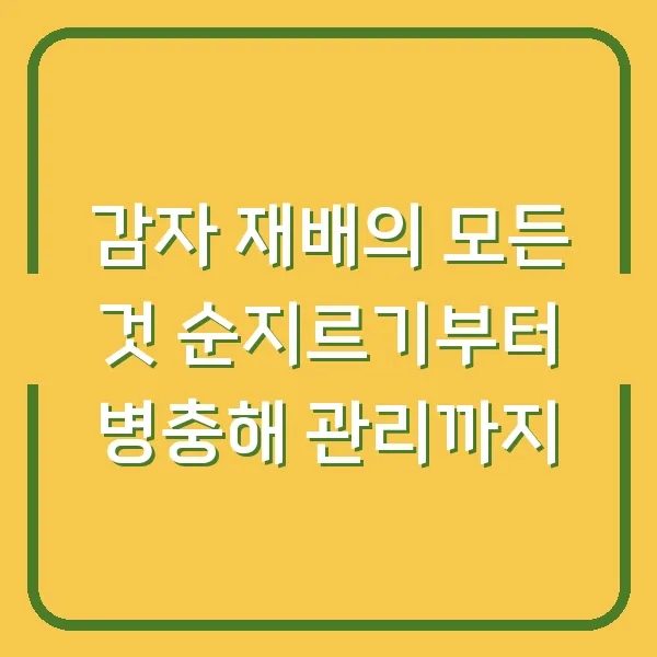 감자 재배의 모든 것 순지르기부터 병충해 관리까지
