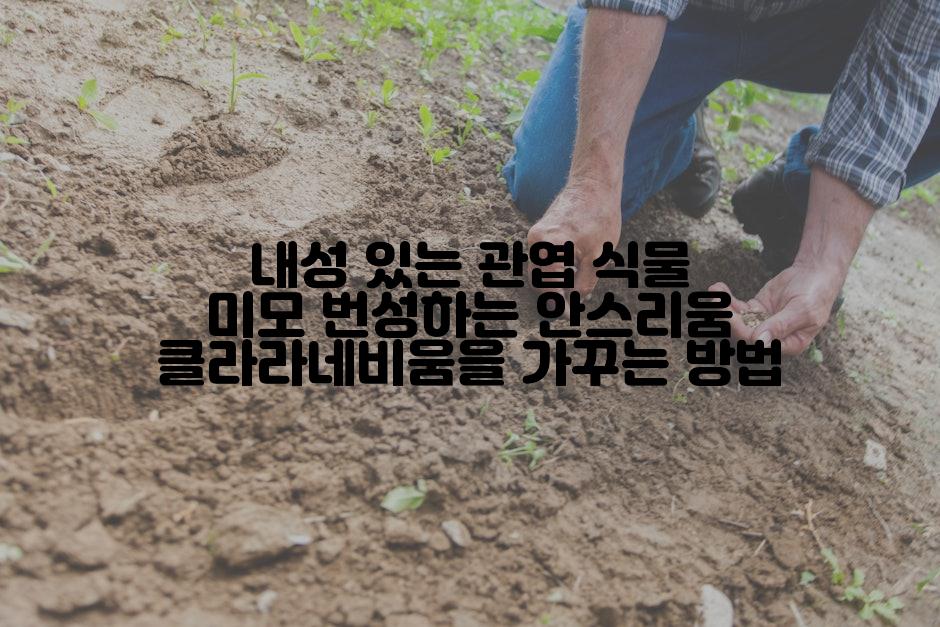 내성 있는 관엽 식물 미모 번성하는 안스리움 클라라네비움을 가꾸는 방법