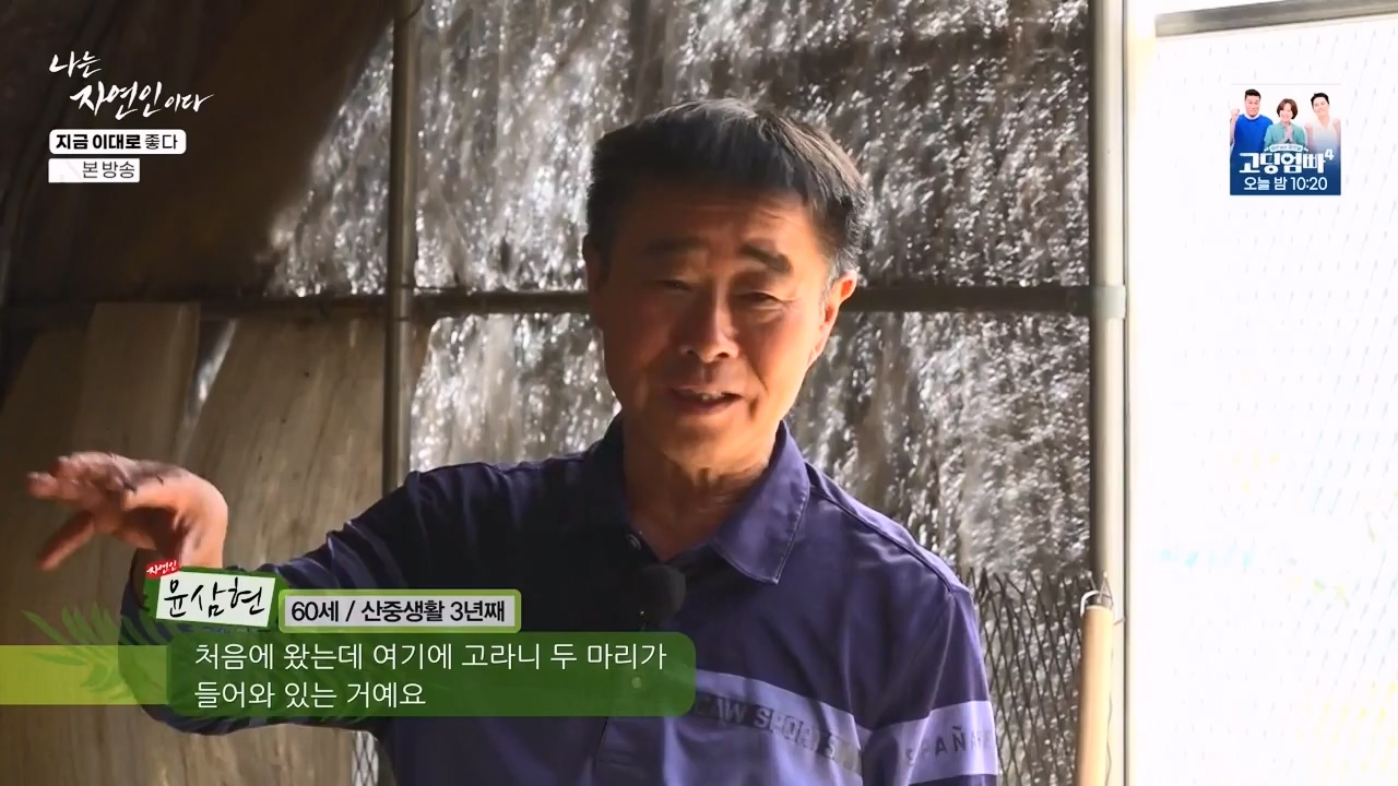 나는 자연인이다.E605.240516p-NEXT.mp4_20240516_194926.453.jpg