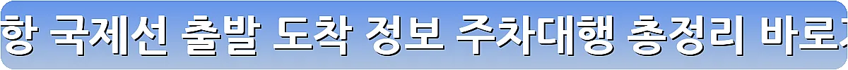 인천공항 국제선 출발 도착 정보 주차대행 총정리_27