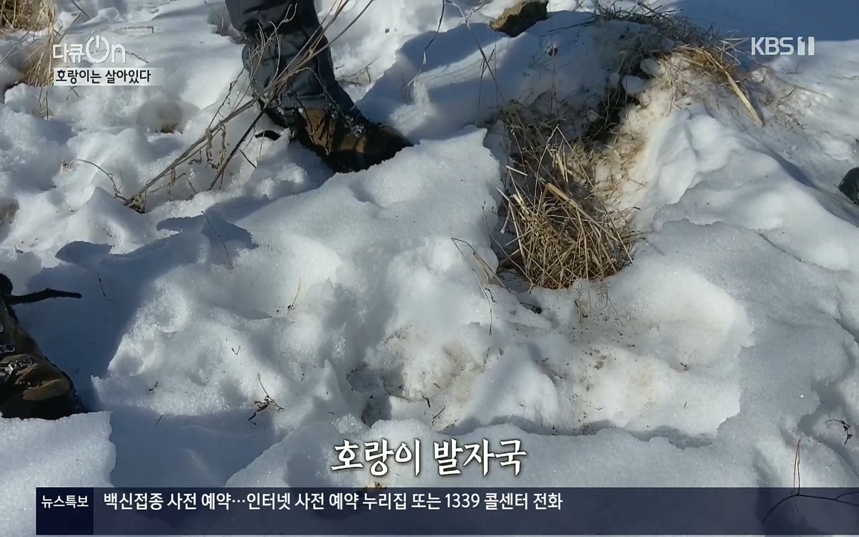 다큐 On.E150.220729p.H264-F1RST.mp4_20220730_164055.979.jpg