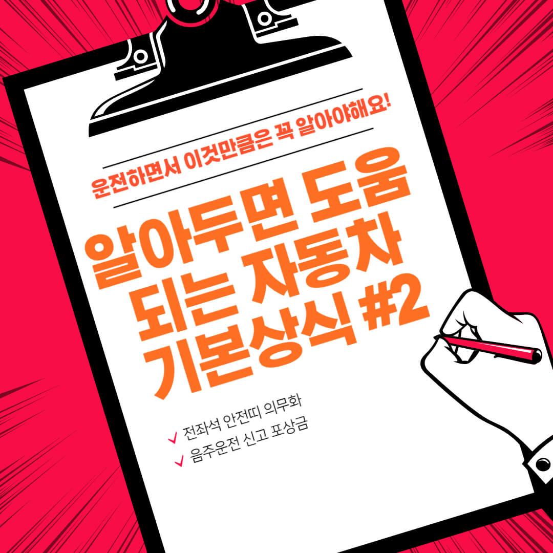  알고 있으면 무조건 도움되는 자동차 기본상식 알쓸신잡 2탄(feat. 전좌석 안전띠 착용 의무, 음주운전 신고 포상금)