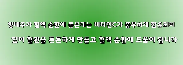  양배추가 혈액 순환에 좋은데는 비타민C가 풍부하게 함유되어 있어 혈관을 튼튼하게 만들고 혈액 순환에 도움이 됩니다