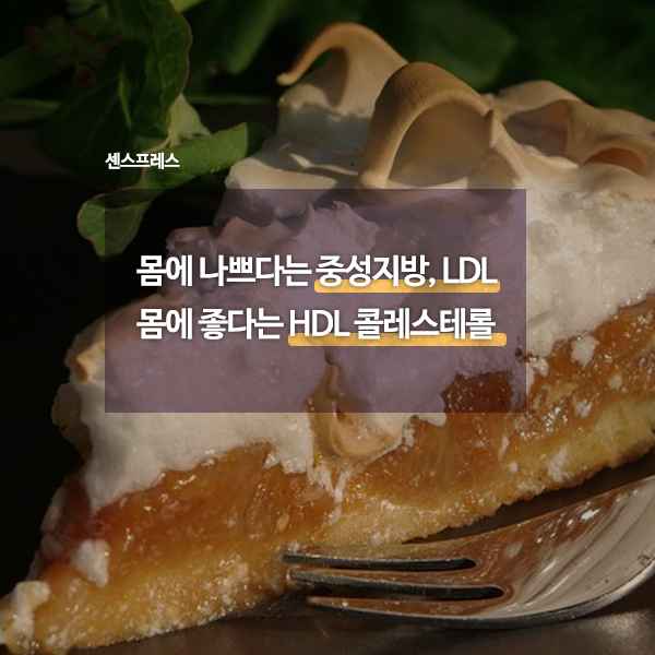  중성지방은 건강에 나쁘고 HDL콜레스테롤은 좋은 거 맞나요?