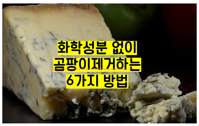  벽지 곰팡이 제거, 욕실, 부엌 등 셀프 곰팡이 제거법