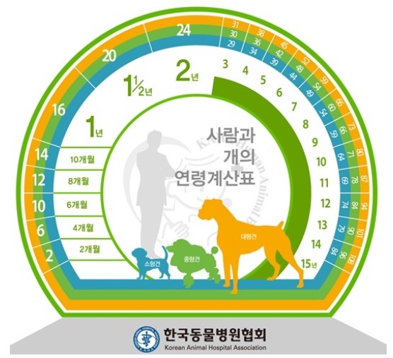 사람과 개의 연령계산표